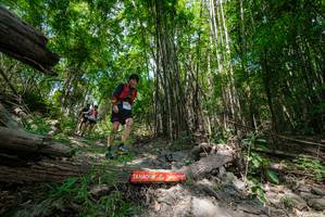 BIB: 
                            <button type="button" onclick="openModal(19393852)" class="btn btn-primary btn-sm float-right btn-popup" data-toggle="modal" data-target=".modal-high-quality">
                        <i class="fas fa-shopping-cart"></i> Add to Cart
                    </button>
                                            <button type="button" onclick="isThisMe(19393852, true)" class="btn btn-success btn-sm float-right btn-popup btn-isme hidden" data-toggle="tooltip" data-placement="bottom" title="นี่คือรูปของคุณใช่ไหม คลิกที่นี่เพื่อเอาเข้าอัลบั้ม">
                        <i class="fas fa-plus"></i> Add to album
                    </button>
                    <button type="button" onclick="isThisMe(19393852, false)" class="btn btn-warning btn-sm float-right btn-popup btn-isnotme hidden">
                        <i class="fas fa-ban"></i> Remove from album
                    </button>